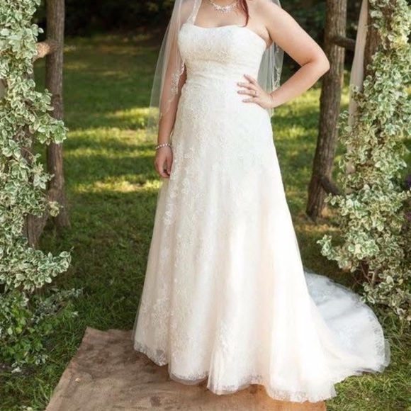 Size 12 David’s Bridal Wedding Dress - Picture 8 of 8